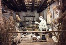 Museo Archeologico Della Valle Sabbia景点图片