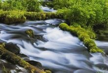 Clearwater Falls景点图片