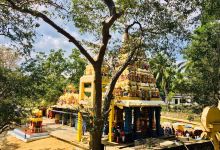 Sella Kataragama Temple景点图片