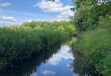 Tring (Marsworth)景点图片