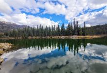 Horseshoe Lake Trail景点图片