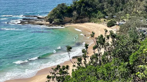 Shelly Beach