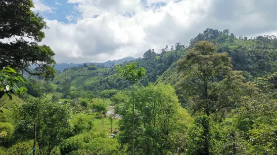 El Recuerdo Finca Cafetera Tradicional