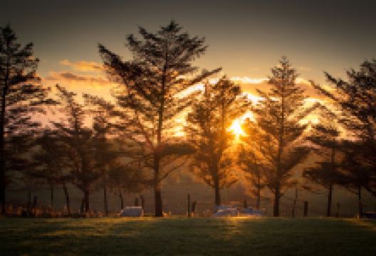 Hartleys Farm景点图片