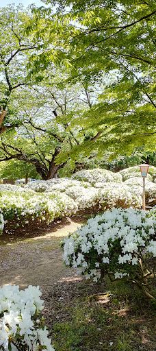 Matsugachi Park-长井市