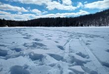 Savoy Mountain State Forest景点图片