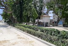 Mkoani Garden景点图片
