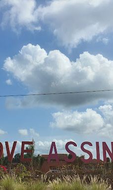 Assinie la passe-阿迪亚凯