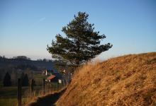 Start des Wanderwegs aufs Hörnli景点图片