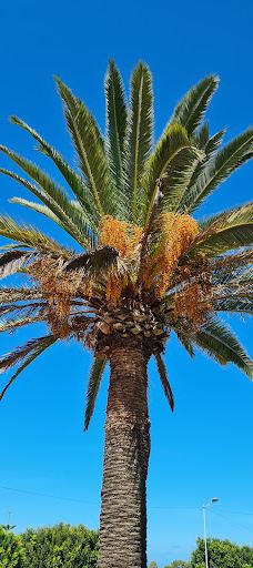 Lalla Sokaina Mosque-拉巴特