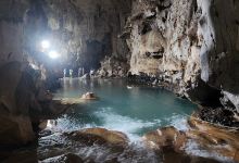 Phuong Hoang cave景点图片