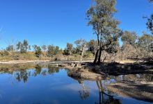 Lees Reserve - free camping.景点图片