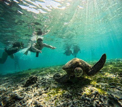Sandy beach Turtle Point Gili Air餐厅图片