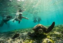 Sandy beach Turtle Point Gili Air景点图片