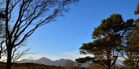 Murlough National Nature Reserve