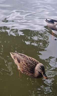 Stadt Park-开姆尼茨