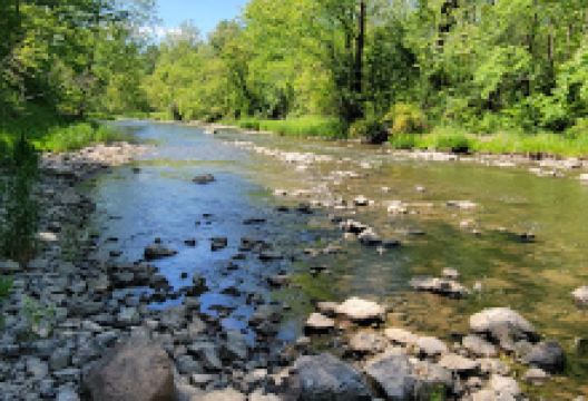 4-H Acres景点图片