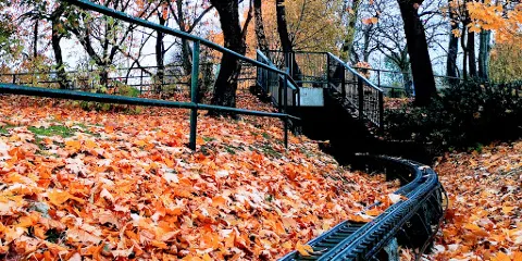 阿伯茨菲爾德公園