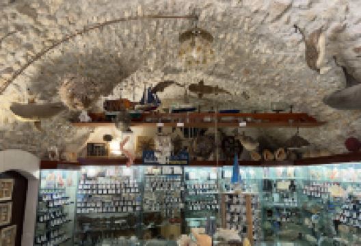 Museo Malacologico景点图片