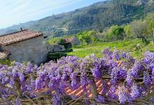 Aldeia de Póvoa Dão景点图片