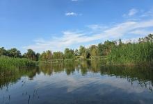 Waldbad Röderau景点图片