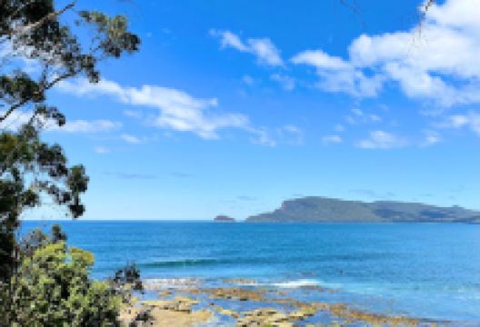 Coal Point景点图片