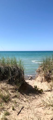 Pinery Provincial Park-大本德