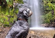 Cascadas Las Dudas景点图片