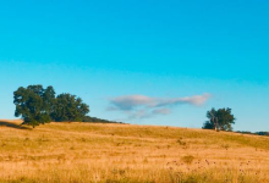 Harrogate City Park景点图片