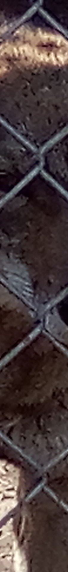 大熊湖动物园-大熊湖