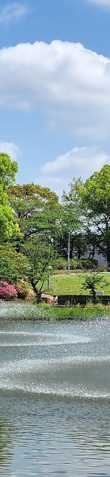 名城公园-名古屋