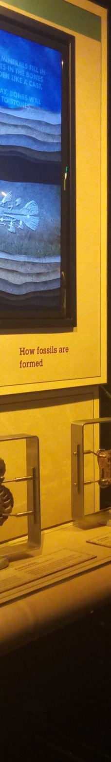 国油科学探索馆-吉隆坡