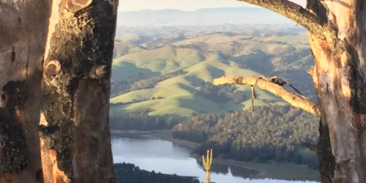 提爾頓國家公園