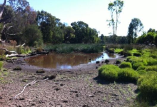 Traralgon Railway Reservoir Conservation Reserve景点图片