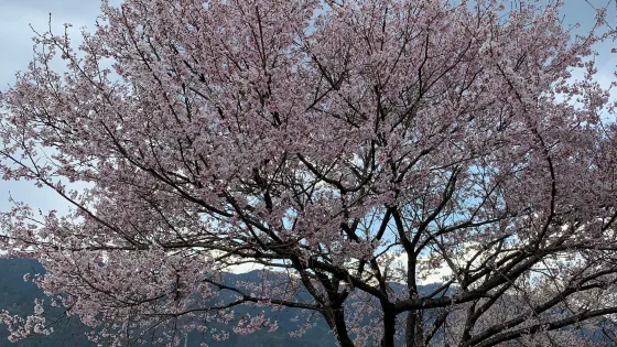 Hidagawa Park