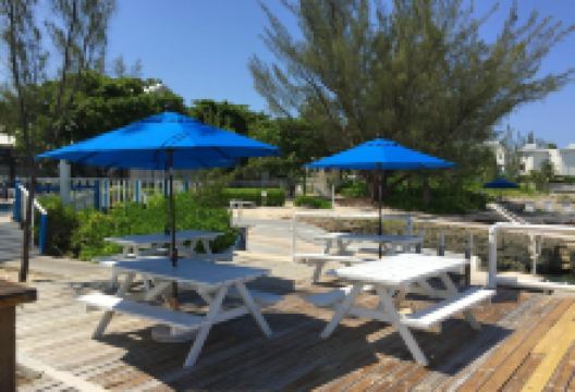 Don Foster's Dive Cayman购物图片