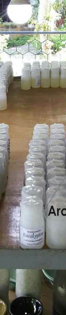 Ilog Maria Honeybee Farm-锡朗