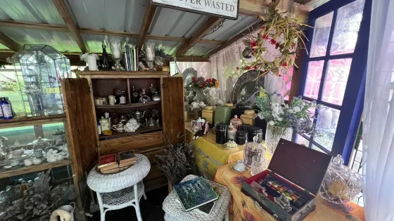 Painted Lady Lavender Farm