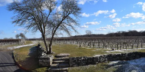 Jonathan Edwards Winery