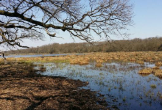 Regional Park Gornje Podunavlje景点图片