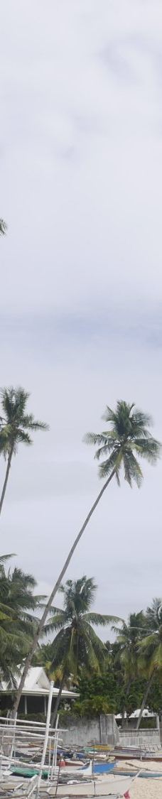 Tingko Beach-阿尔科伊