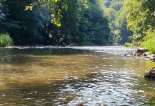Viaduc du Viaur terrasse de Yunnan et Tanus景点图片