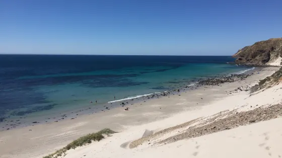 Morgan Beach