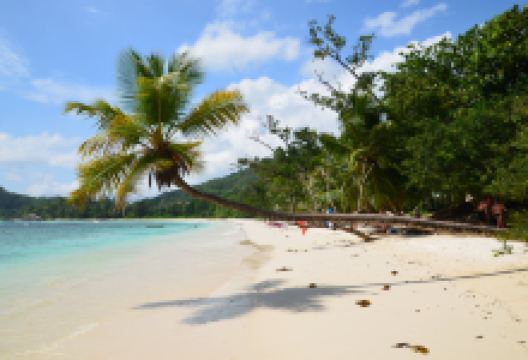 Baie Lazare Public Beach景点图片