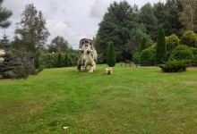Jurajski Park Dinozaurow Muzeum Dziejow Ziemi景点图片