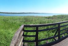 Rezerwat przyrody Slone laki景点图片