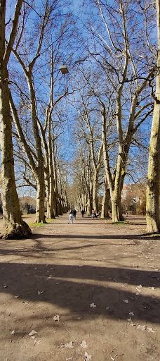 Neckarinsel-蒂宾根