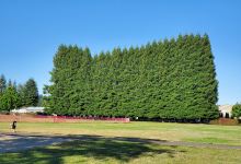 Millersburg City Park景点图片