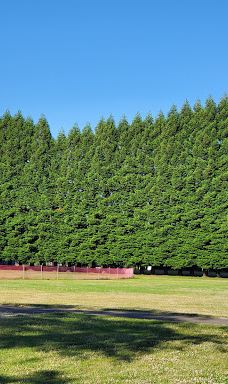 Millersburg City Park-米勒斯堡