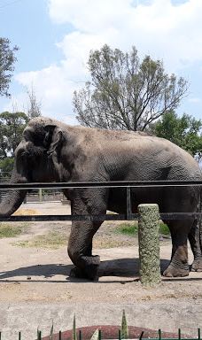 MORELIA ZOO ACUARIUM-莫雷利亚